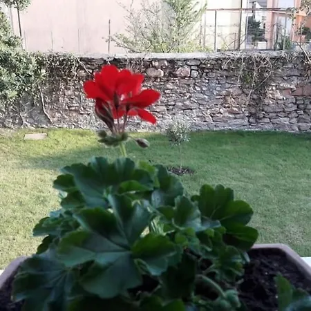 Casa Oliva Pensión 3*